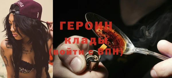 индика Беломорск
