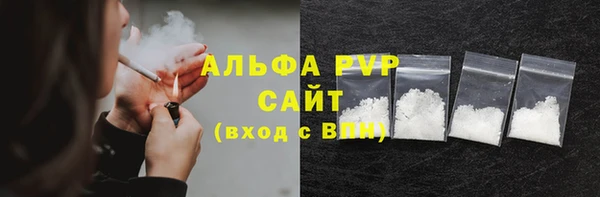 индика Беломорск