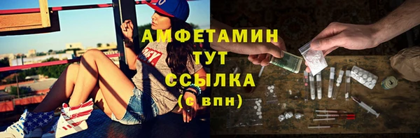 индика Беломорск